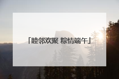 睦邻欢聚 粽情端午