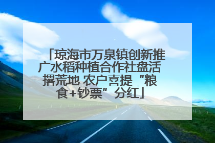 琼海市万泉镇创新推广水稻种植合作社盘活撂荒地 农户喜提“粮食+钞票”分红