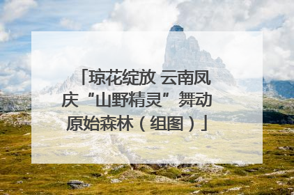 琼花绽放 云南凤庆“山野精灵”舞动原始森林（组图）
