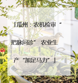 瓜州：农机检审“把脉问诊” 农业生产“加足马力”