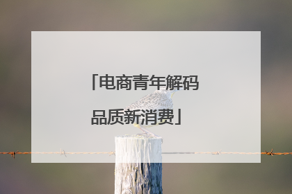 电商青年解码品质新消费