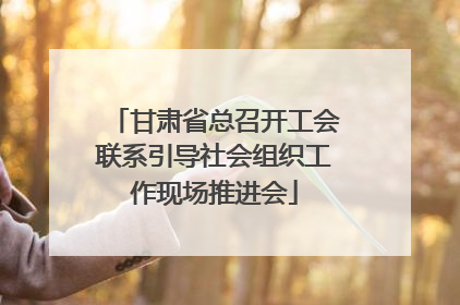 甘肃省总召开工会联系引导社会组织工作现场推进会