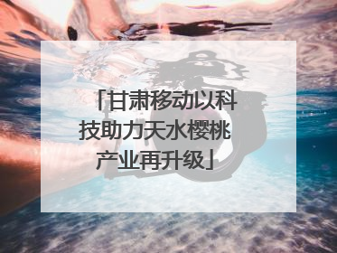 甘肃移动以科技助力天水樱桃产业再升级