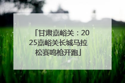 甘肃嘉峪关：2025嘉峪关长城马拉松赛鸣枪开跑