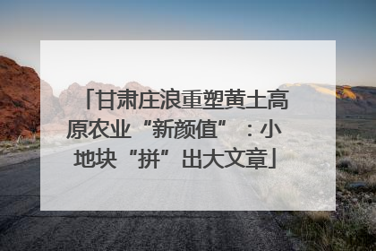 甘肃庄浪重塑黄土高原农业“新颜值”：小地块“拼”出大文章