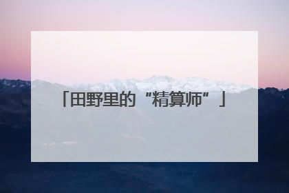 田野里的“精算师”