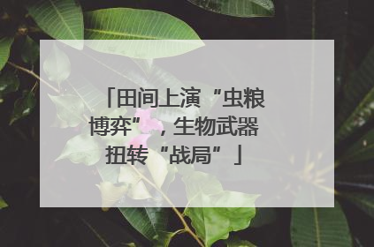 田间上演“虫粮博弈”，生物武器扭转“战局”