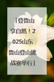 登鲁山 享自然！2025山东鲁山登山挑战赛举行