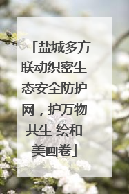 盐城多方联动织密生态安全防护网，护万物共生 绘和美画卷