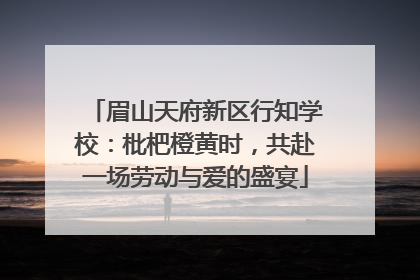 眉山天府新区行知学校：枇杷橙黄时，共赴一场劳动与爱的盛宴