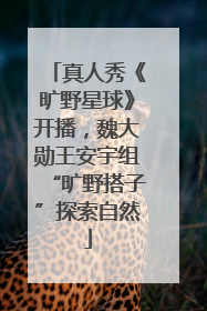 真人秀《旷野星球》开播，魏大勋王安宇组“旷野搭子”探索自然