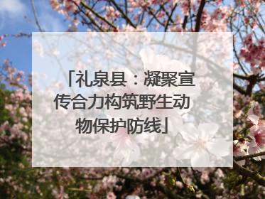 礼泉县：凝聚宣传合力构筑野生动物保护防线