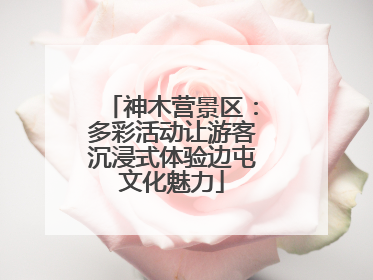 神木营景区：多彩活动让游客沉浸式体验边屯文化魅力