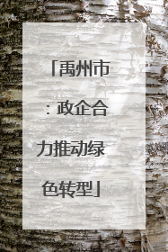 禹州市：政企合力推动绿色转型