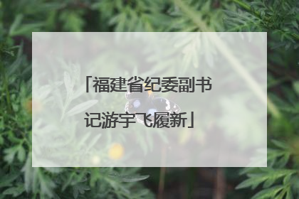 福建省纪委副书记游宇飞履新