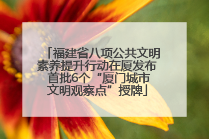 福建省八项公共文明素养提升行动在厦发布 首批6个“厦门城市文明观察点”授牌