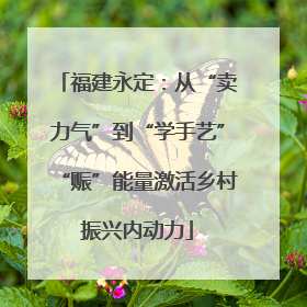 福建永定：从“卖力气”到“学手艺”“赈”能量激活乡村振兴内动力