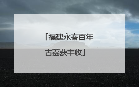 福建永春百年古荔获丰收