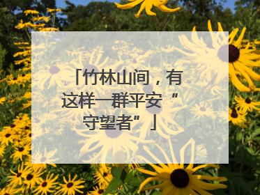 竹林山间，有这样一群平安“守望者”