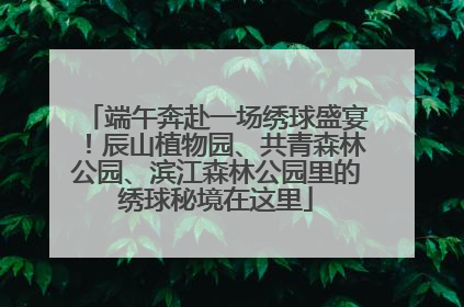 端午奔赴一场绣球盛宴！辰山植物园、共青森林公园、滨江森林公园里的绣球秘境在这里