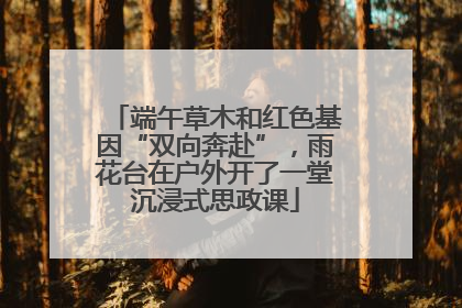 端午草木和红色基因“双向奔赴”，雨花台在户外开了一堂沉浸式思政课