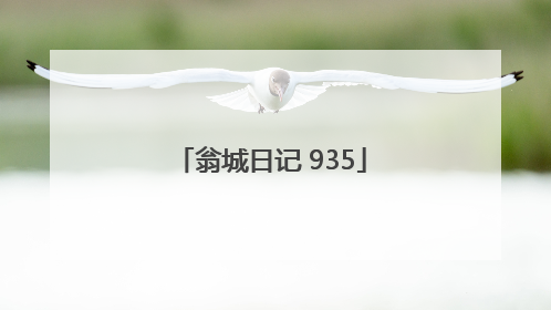 翁城日记 935