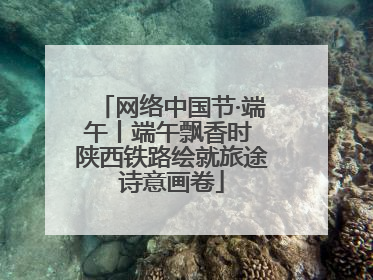 网络中国节·端午丨端午飘香时 陕西铁路绘就旅途诗意画卷