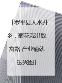 罗平县大水井乡：菊花栽出致富路 产业铺就振兴图