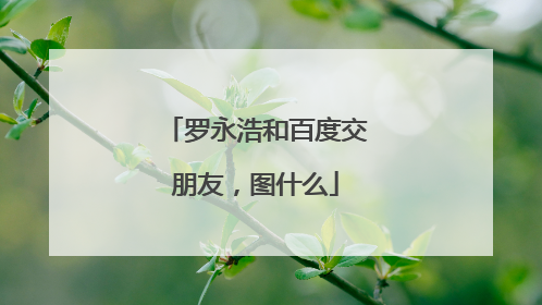 罗永浩和百度交朋友，图什么