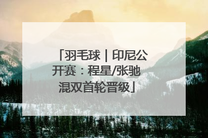 羽毛球｜印尼公开赛：程星/张驰混双首轮晋级