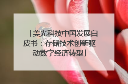 美光科技中国发展白皮书：存储技术创新驱动数字经济转型