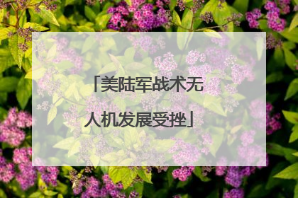 美陆军战术无人机发展受挫