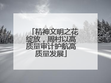精神文明之花绽放，周村以高质量审计护航高质量发展