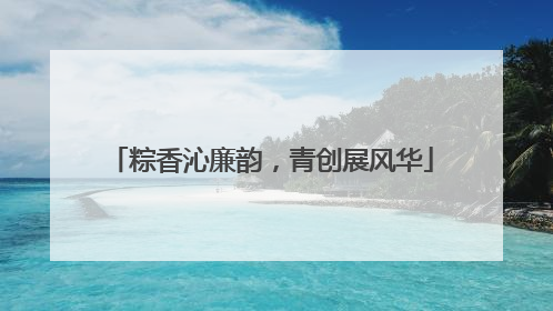 粽香沁廉韵，青创展风华