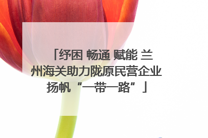 纾困 畅通 赋能 兰州海关助力陇原民营企业扬帆“一带一路”