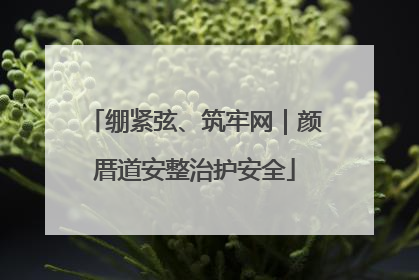 绷紧弦、筑牢网｜颜厝道安整治护安全