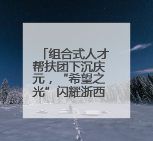 组合式人才帮扶团下沉庆元，“希望之光”闪耀浙西南青山绿水间