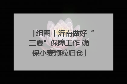 组图丨沂南做好“三夏”保障工作 确保小麦颗粒归仓