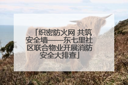 织密防火网 共筑安全墙——东七里社区联合物业开展消防安全大排查