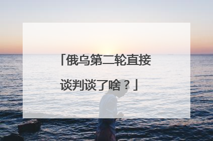 俄乌第二轮直接谈判谈了啥？