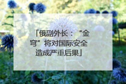 俄副外长：“金穹”将对国际安全造成严重后果