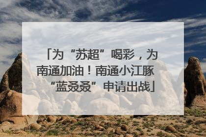 为“苏超”喝彩，为南通加油！南通小江豚“蓝叒叒”申请出战