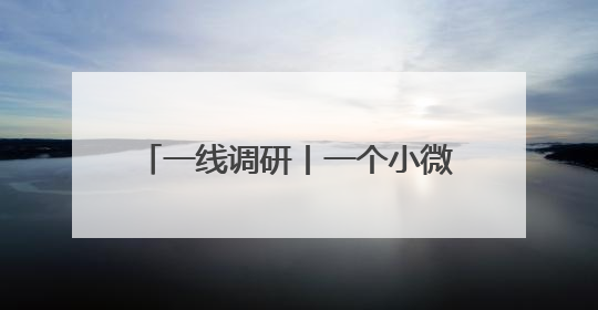 一线调研丨一个小微企业的“冠军”之路