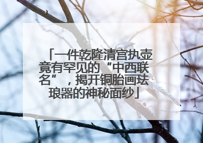 一件乾隆清宫执壶竟有罕见的“中西联名”，揭开铜胎画珐琅器的神秘面纱