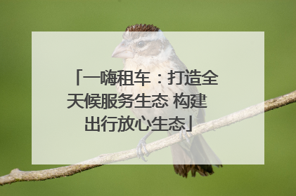 一嗨租车：打造全天候服务生态 构建出行放心生态
