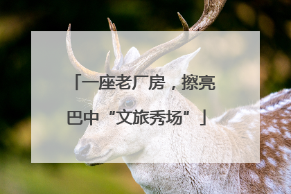 一座老厂房，擦亮巴中“文旅秀场”