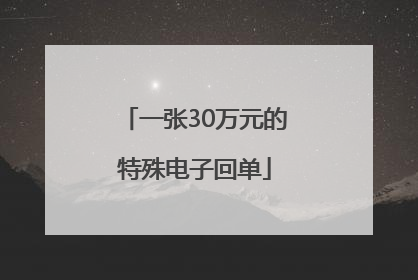 一张30万元的特殊电子回单