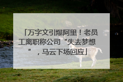 万字文引爆阿里！老员工离职称公司“失去梦想”，马云下场回应