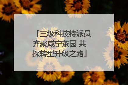三级科技特派员齐聚咸宁茶园 共探转型升级之路