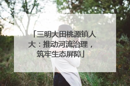 三明大田桃源镇人大：推动河流治理，筑牢生态屏障